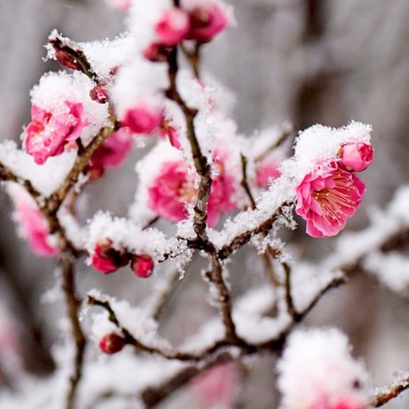 Meet your Posher ππ₯°ππ₯°π - Picture 8 of 8